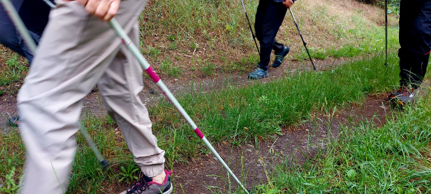 Nordic Walking